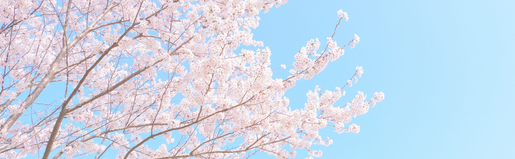 キービジュアルイメージ01